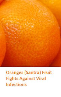 Health Benefits of Oranges (Santra) Fights Against Viral Infections Health Benefits of Oranges (Santra) Fights Against Viral Infections