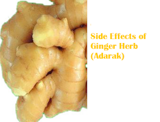 Side Effects of Ginger Herb (Adarak) Side Effects of Ginger Herb (Adarak)