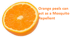 Orange peels can act as a Mosquito Repellent - Oranges citrus fruit peel (Santre Ke Chilke) 