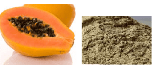 How to get glowing skin using Papaya And Fuller’s Earth : How to get glowing skin using Papaya And Fuller’s Earth :