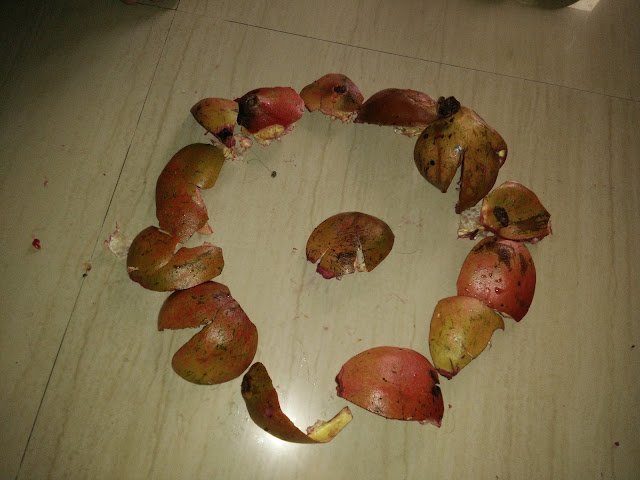Photo / Picture of Pomegranate Fruit Photo / Picture of Pomegranate Fruit