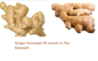 Ginger Increases Ph Levels In The Stomach: Ginger Increases Ph Levels In The Stomach: