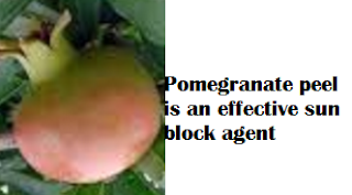 Pomegranate peel is an effective sun block agent Pomegranate peel is an effective sun block agent