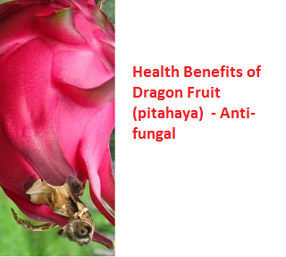 Health Benefits of Dragon Fruit (pitahaya)  - Anti-fungal