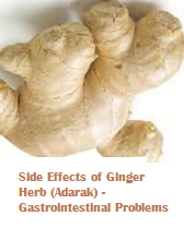Side Effects of Ginger Herb (Adarak) - Gastrointestinal Problems Side Effects of Ginger Herb (Adarak) - Gastrointestinal Problems
