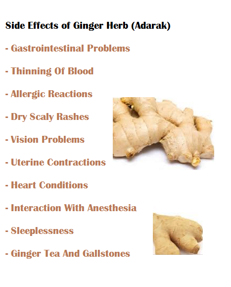 Side Effects of Ginger Herb (Adarak) Side Effects of Ginger Herb (Adarak)