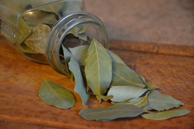 Bay Leaf/Tej Patta/Tamal Patra Benefits for Skin, Hair, Health Bay Leaf/Tej Patta/Tamal Patra Benefits for Skin, Hair, Health