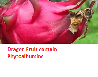 Dragon Fruit contain Phytoalbumins Dragon Fruit contain Phytoalbumins