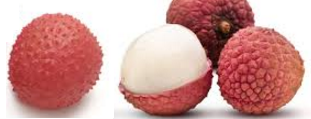 Coconut Lychee Coladas Coconut Lychee Coladas