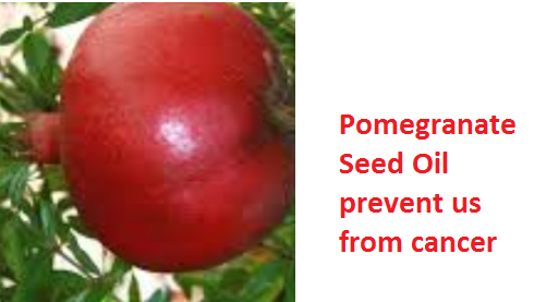 Health Benefits And Uses Of Pomegranate Seed Oil - Pomegranate Seed Oil prevent us from cancer Health Benefits And Uses Of Pomegranate Seed Oil - Pomegranate Seed Oil prevent us from cancer