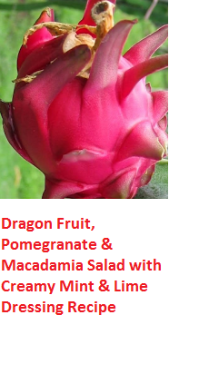 Dragon Fruit, Pomegranate & Macadamia Salad with Creamy Mint & Lime Dressing Recipe Dragon Fruit, Pomegranate & Macadamia Salad with Creamy Mint & Lime Dressing Recipe