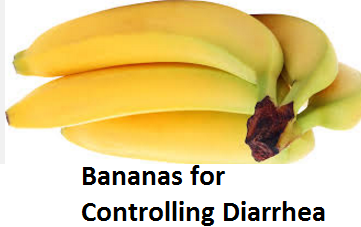 Health Benefits of Banana fruit - Bananas for Controlling Diarrhea Health Benefits of Banana fruit - Bananas for Controlling Diarrhea