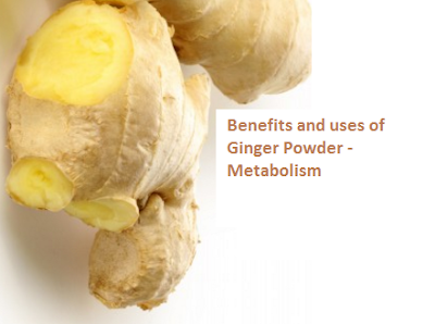 Benefits and uses of Ginger Powder - Metabolism Benefits and uses of Ginger Powder - Metabolism