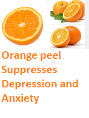 Orange peel Suppresses Depression and Anxiety - Oranges citrus fruit peel (Santre Ke Chilke) 