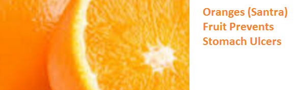 Health Benefits of Oranges (Santra) Prevents Stomach Ulcers Health Benefits of Oranges (Santra) Prevents Stomach Ulcers