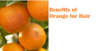 Health benefit of orange santra fruit Oranges (Santra) Fruit - Benefits of Orange for Hair Health benefit of orange santra fruit Oranges (Santra) Fruit - Benefits of Orange for Hair