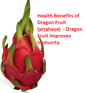 Health Benefits of Dragon Fruit (pitahaya)  - Dragon Fruit Improves Immunity