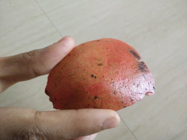 Photo / Picture of Pomegranate Fruit Photo / Picture of Pomegranate Fruit