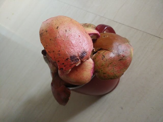Photo / Picture of Pomegranate Fruit Photo / Picture of Pomegranate Fruit