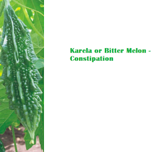 Health Benefits Of Karela or Bitter Melon - Constipation