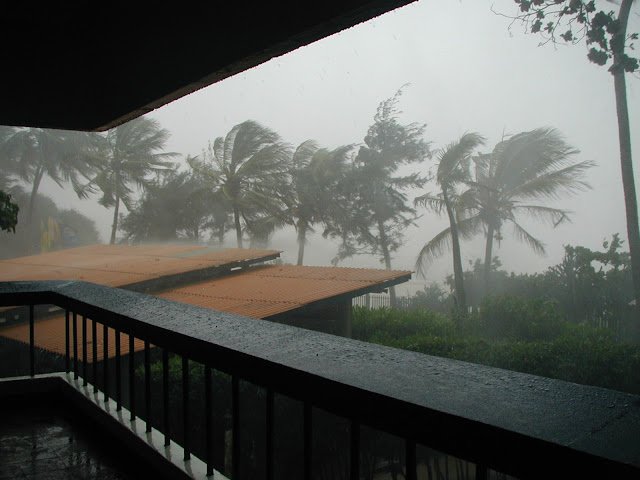 Top 5 Monsoon Health Tips Top 5 Monsoon Health Tips