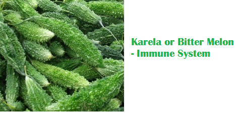 Health Benefits Of Karela or Bitter Melon - Immune System