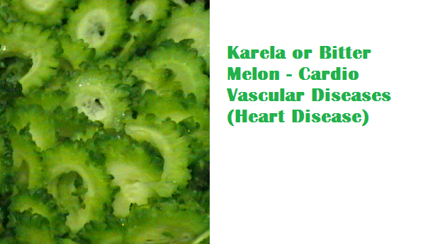 Health Benefits Of Karela or Bitter Melon - Cardio Vascular Diseases (Heart Disease)