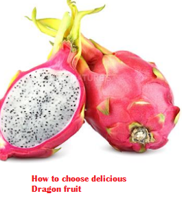 How to choose delicious Dragon fruit How to choose delicious Dragon fruit