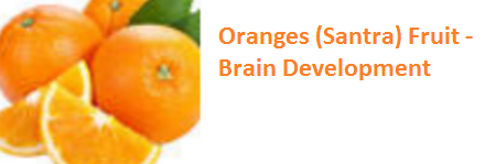 Health Benefits of Oranges (Santra)- Brain Development Health Benefits of Oranges (Santra) - Brain Development