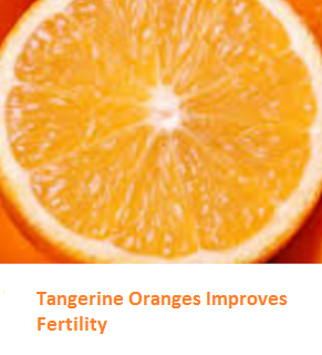 Health Benefits of Tangerine Oranges - Improves Fertility Health Benefits of Tangerine Oranges - Improves Fertility