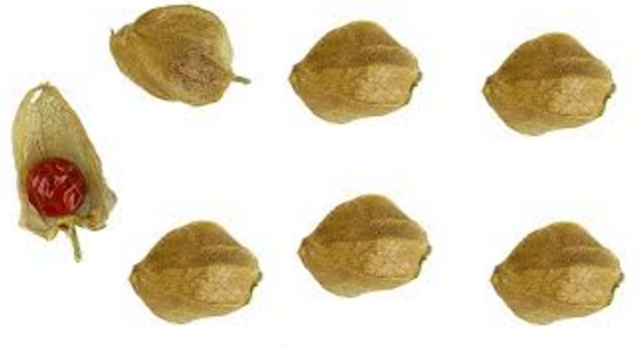 Ashwagandha - Side-Effects, Interactions and warnings Ashwagandha - Side-Effects, Interactions and warnings