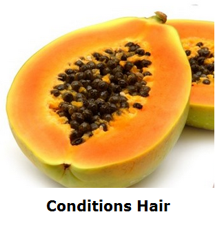 Health Benefits of Papaya - Paw paw Conditions Hair Health Benefits of Papaya - Paw paw Conditions Hair