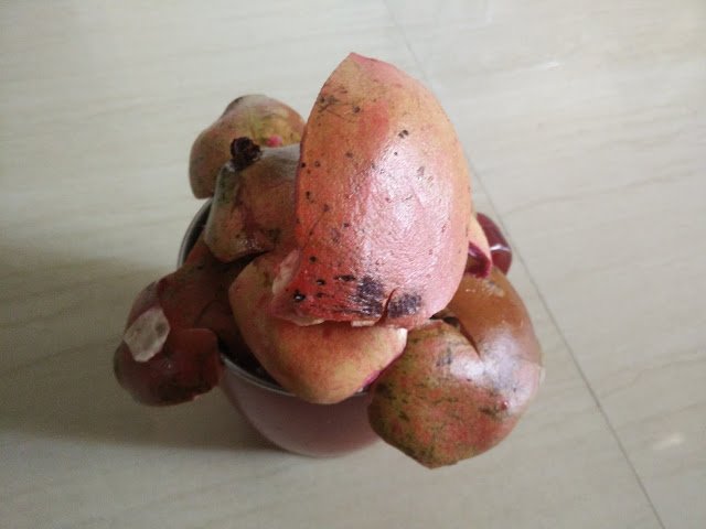 Photo / Picture of Pomegranate Fruit Photo / Picture of Pomegranate Fruit
