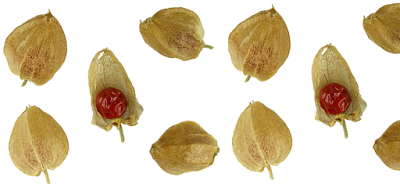 Ashwagandha - Side-Effects, Interactions and warnings Ashwagandha - Side-Effects, Interactions and warnings