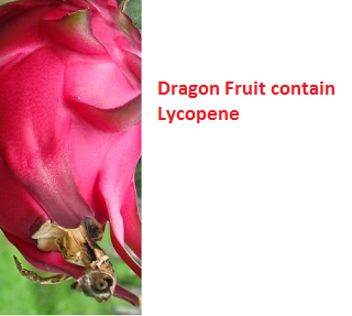 Dragon Fruit contain Lycopene Dragon Fruit contain Lycopene