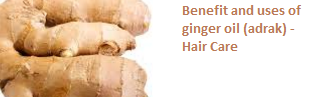 Benefit and uses of ginger oil (adrak) -  Hair Care