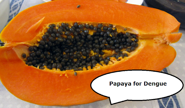 Health Benefits of Papaya - Dengue Health Benefits of Papaya - Dengue