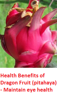 Health Benefits of Dragon Fruit (pitahaya) - Maintain eye health