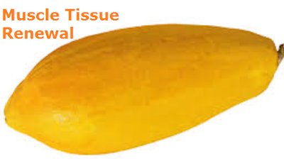 Health Benefits of Papaya - Paw paw Muscle Tissue Renewal Health Benefits of Papaya - Paw paw Muscle Tissue Renewal