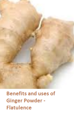 Benefits and uses of Ginger Powder - Flatulence Benefits and uses of Ginger Powder - Flatulence