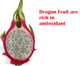 Dragon Fruit are rich in antioxidant Dragon Fruit are rich in antioxidant