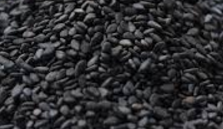 Black Sesame Seeds meaning in English, hindi, telugu,tamil,marathi,Gujrathi,Malayalam,Kannada Black Sesame Seeds meaning in English, hindi, telugu,tamil,marathi,Gujrathi,Malayalam,Kannada