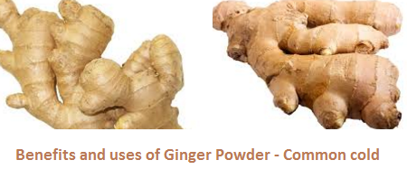 Benefits and uses of Ginger Powder - Common cold Benefits and uses of Ginger Powder - Common cold