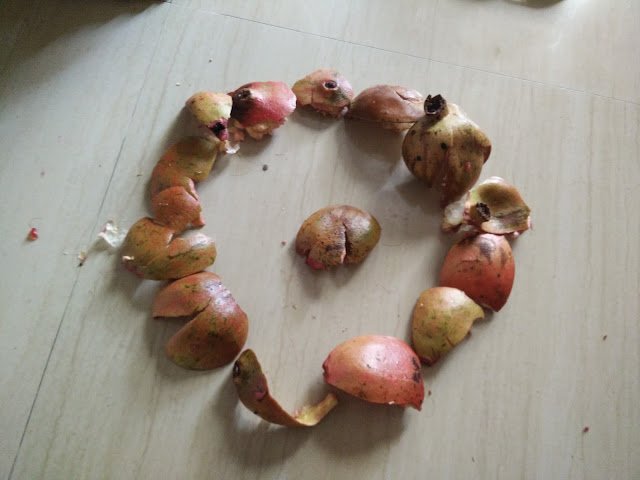 Photo / Picture of Pomegranate Fruit Photo / Picture of Pomegranate Fruit
