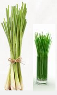 Best effective home remedies to get rid of cough Best effective home remedies to get rid of cough
