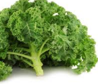 Food Diet tips for healthy skin Kale for healthy glowing skin Food Diet tips for healthy skin Kale for healthy glowing skin