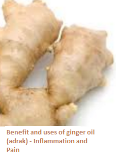 Benefit and uses of ginger oil (adrak) - Inflammation and Pain