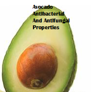 Amazing health benefits of Avocado Butter Fruit Makhanphal - Avocado Antibacterial And Antifungal Properties Amazing health benefits of Avocado Butter Fruit Makhanphal - Avocado Antibacterial And Antifungal Properties