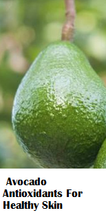 Avocado Antioxidants For Healthy Skin Avocado Antioxidants For Healthy Skin