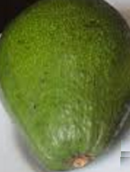 Amazing health benefits of Avocado Butter Fruit Makhanphal - Avocado Helps In Weight Loss Amazing health benefits of Avocado Butter Fruit Makhanphal - Avocado Helps In Weight Loss
